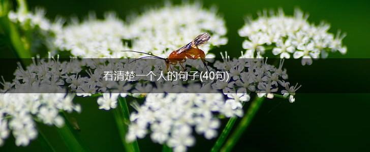 看清楚一个人的句子(40句),第1张