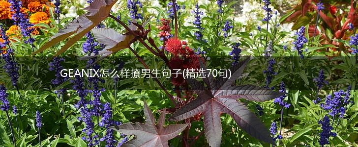 GEANIX怎么样撩男生句子(精选70句),第1张