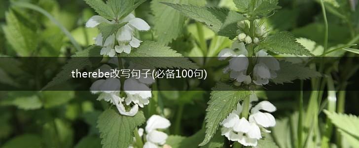 therebe改写句子(必备100句),第1张