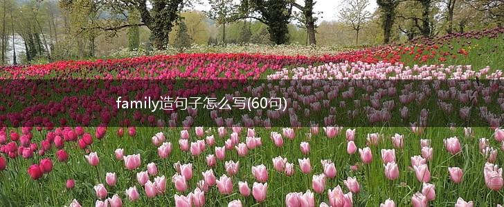 family造句子怎么写(60句),第1张