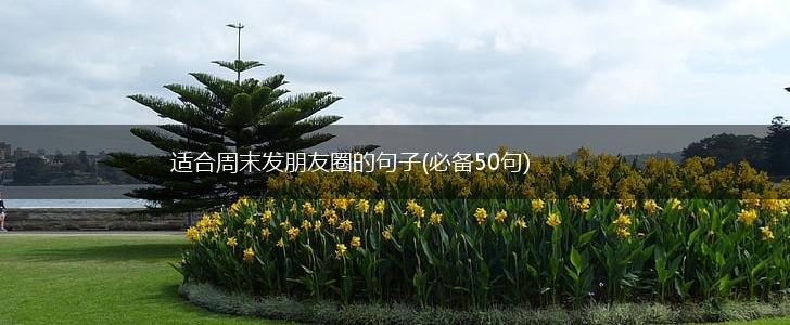 适合周末发朋友圈的句子(必备50句),第1张