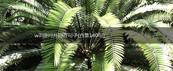 will提问并回答句子(合集140句),第1张
