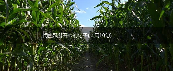 闺蜜聚餐开心的句子(实用10句),第1张