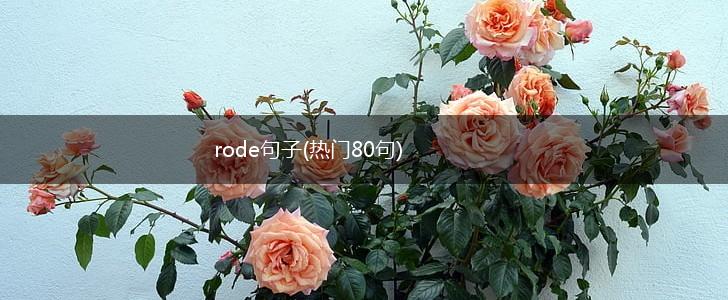 rode句子(热门80句),第1张