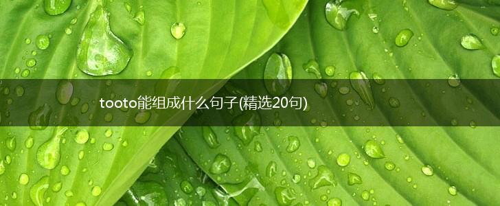 tooto能组成什么句子(精选20句),第1张