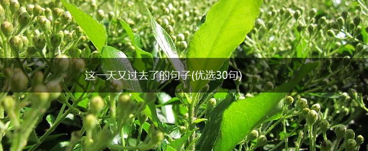 这一天又过去了的句子(优选30句),第1张
