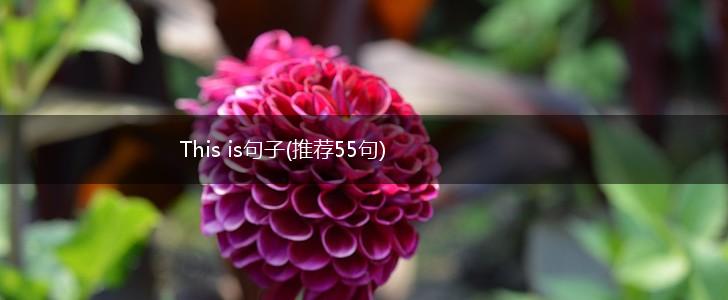This is句子(推荐55句),第1张