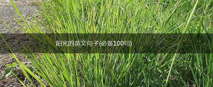阳光的英文句子(必备100句),第1张