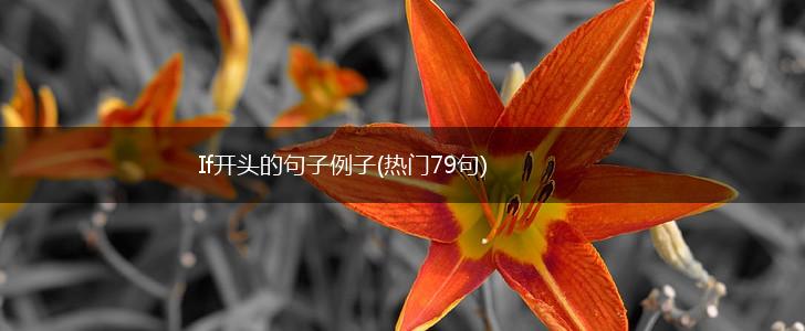 If开头的句子例子(热门79句),第1张