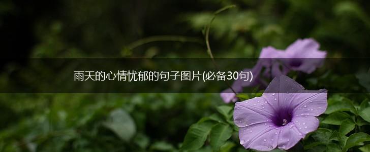 雨天的心情忧郁的句子图片(必备30句),第1张