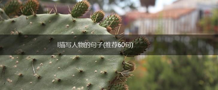 l描写人物的句子(推荐60句),第1张
