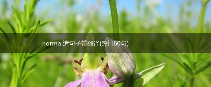 normal造句子带翻译(热门60句),第1张