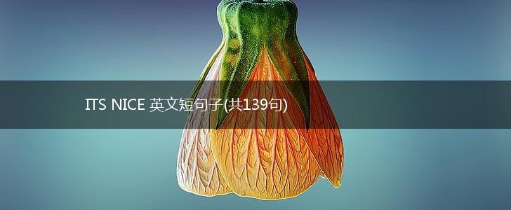 ITS NICE 英文短句子(共139句),第1张
