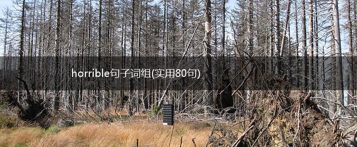 horrible句子词组(实用80句),第1张