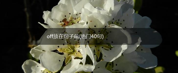 off放在句子前(热门40句),第1张