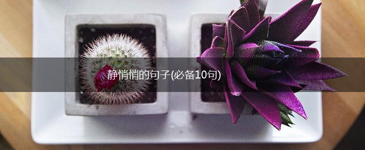 静悄悄的句子(必备10句),第1张