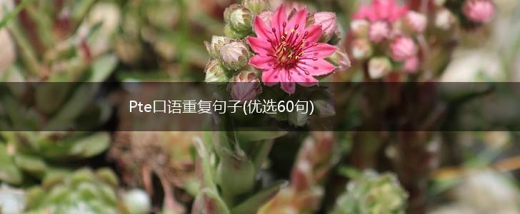 Pte口语重复句子(优选60句),第1张