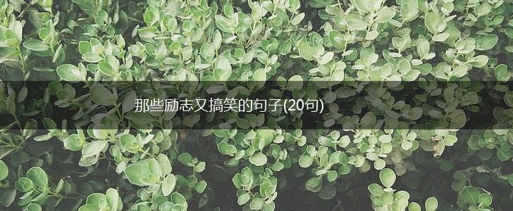 那些励志又搞笑的句子(20句),第1张