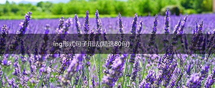 ing形式句子用法(精选80句),第1张