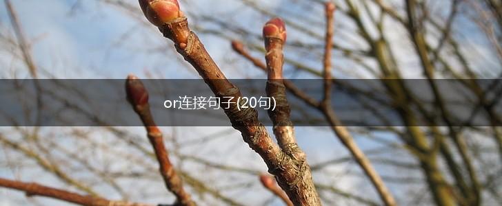 or连接句子(20句),第1张