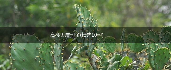 高楼大厦句子(精选10句),第1张