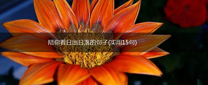 陪你看日出日落的句子(实用15句),第1张