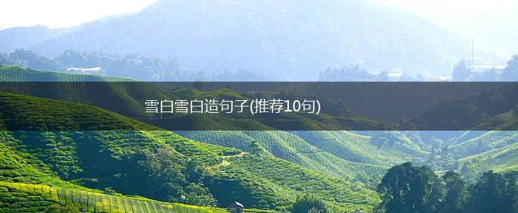 雪白雪白造句子(推荐10句),第1张