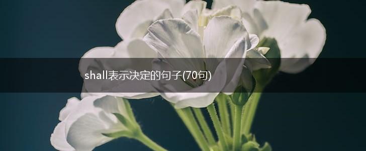 shall表示决定的句子(70句),第1张