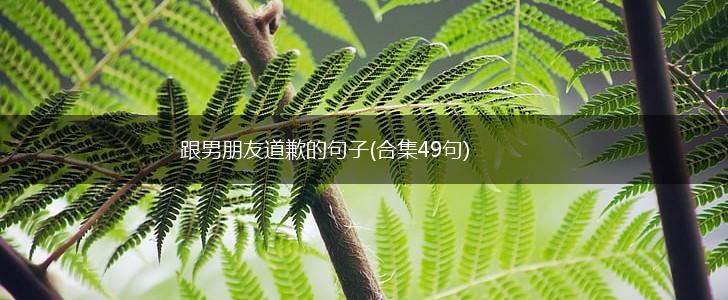 跟男朋友道歉的句子(合集49句),第1张