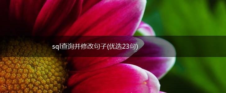 sql查询并修改句子(优选23句),第1张