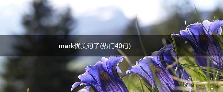 mark优美句子(热门40句),第1张