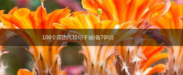 100个英语比较句子(必备70句),第1张