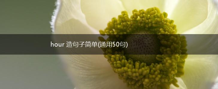 hour 造句子简单(通用50句),第1张