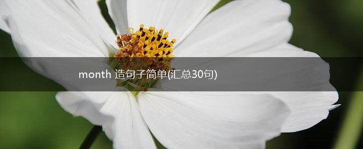 month 造句子简单(汇总30句),第1张