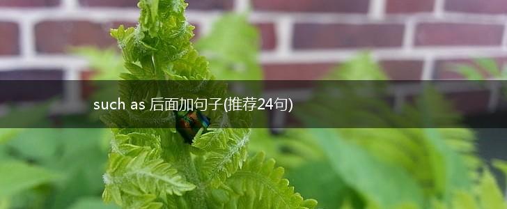 such as 后面加句子(推荐24句),第1张
