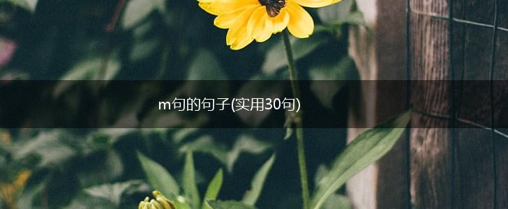 m句的句子(实用30句),第1张