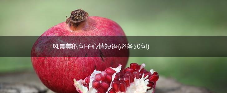 风景美的句子心情短语(必备50句),第1张