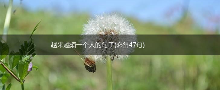 越来越烦一个人的句子(必备47句),第1张