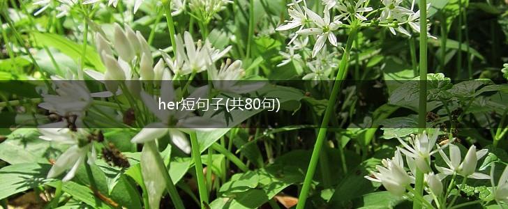 her短句子(共80句),第1张