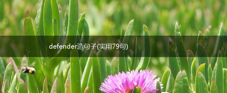defender造句子(实用79句),第1张