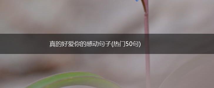 真的好爱你的感动句子(热门50句),第1张