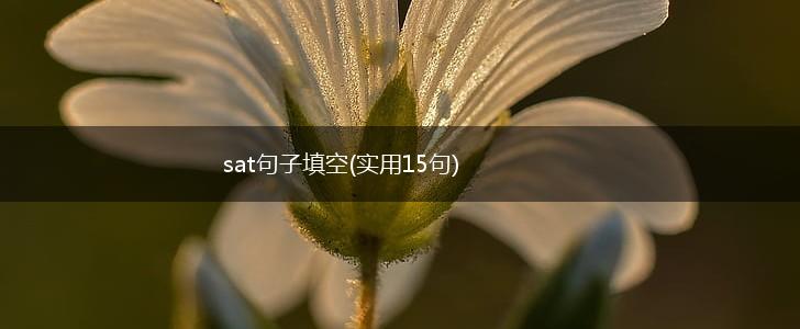 sat句子填空(实用15句),第1张