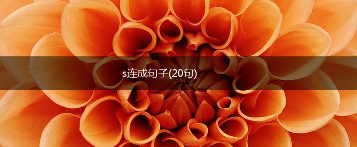 s连成句子(20句),第1张