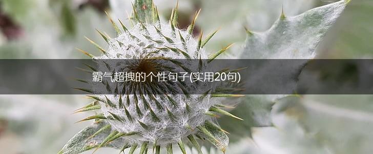 霸气超拽的个性句子(实用20句),第1张