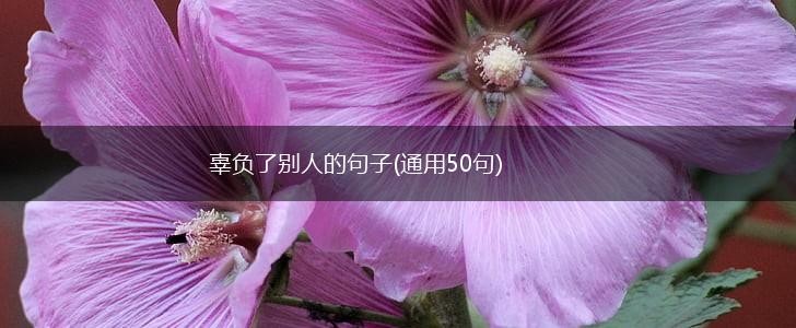 辜负了别人的句子(通用50句),第1张