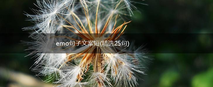 emo句子文案短(精选25句),第1张