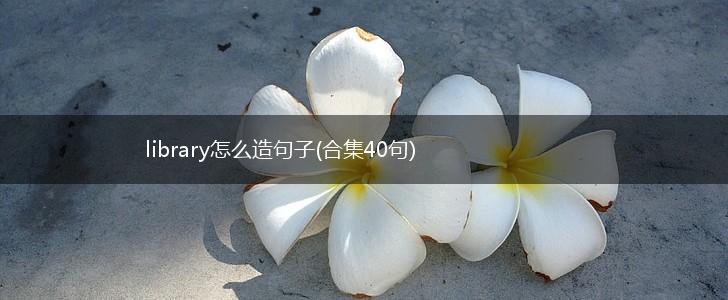 library怎么造句子(合集40句),第1张