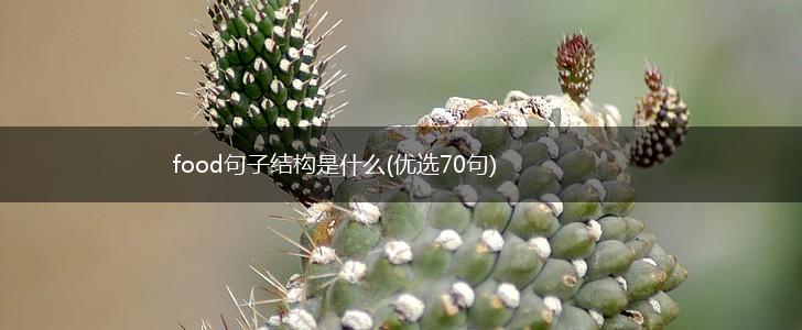 food句子结构是什么(优选70句),第1张