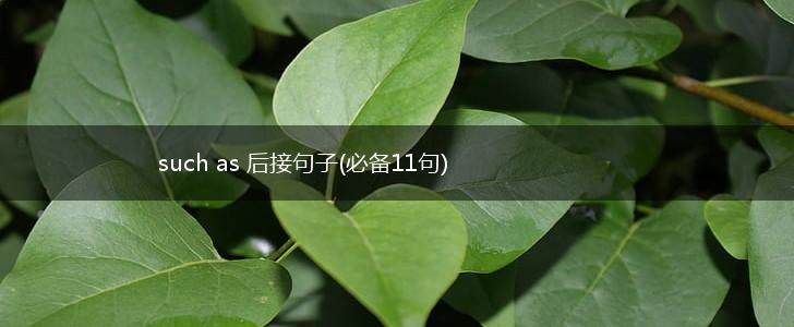 such as 后接句子(必备11句),第1张