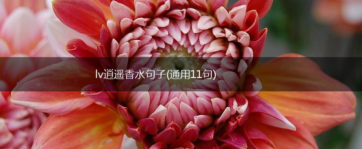 lv逍遥香水句子(通用11句),第1张